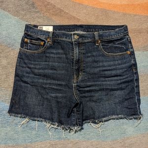 Gap Denim Shorts